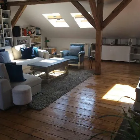 Apartment The White Loft Mulhouse
